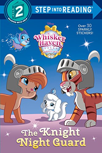 The Knight Night Guard book cover