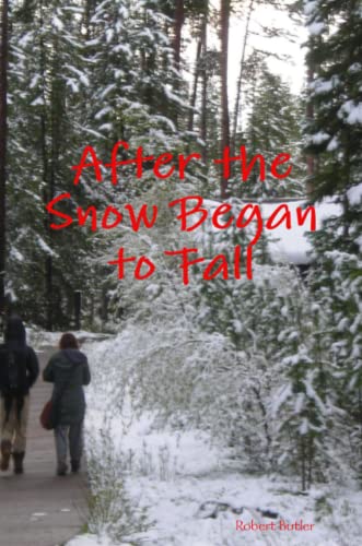 After the Snow Began to Fall book cover
