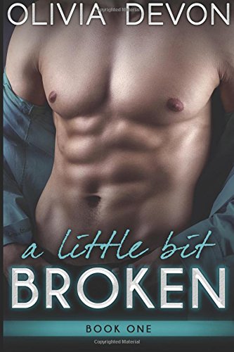 A Little Bit Broken book cover 1