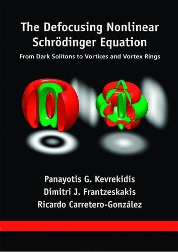 The Defocusing Nonlinear Schrödinger Equation book cover