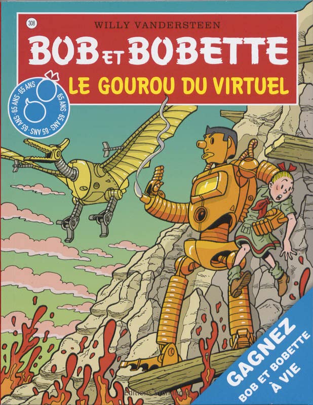 Le gourou du virtuel book cover