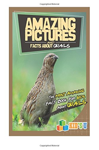 Amazing Pictures and Facts about Quails: The Most Amazing Fact Book for
