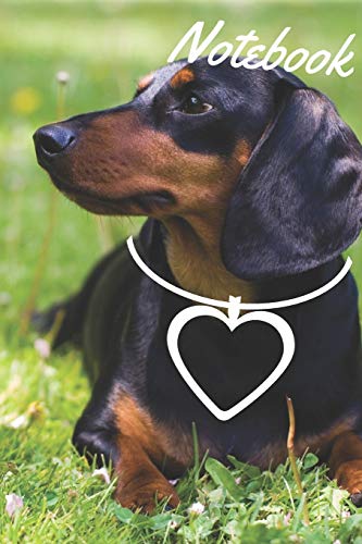 Dachshund Notebook: Journal for Dachshund Lovers, Blank Nootebook with ...