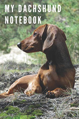 My Dachshund Notebook: Dachshund Journal or Notebook - Gift Idea For ...