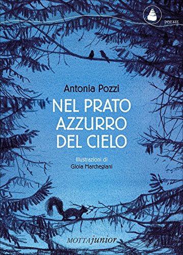 Nel prato azzurro del cielo book cover