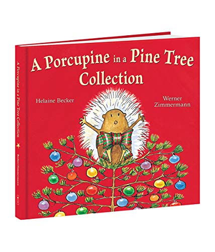 A porcupine in a pine tree collection
