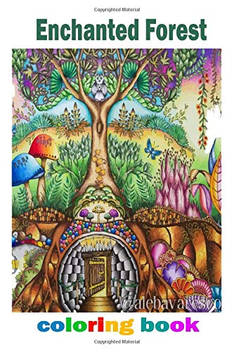 Enchanted Forest coloring book: An Inky Quest and Coloring book by