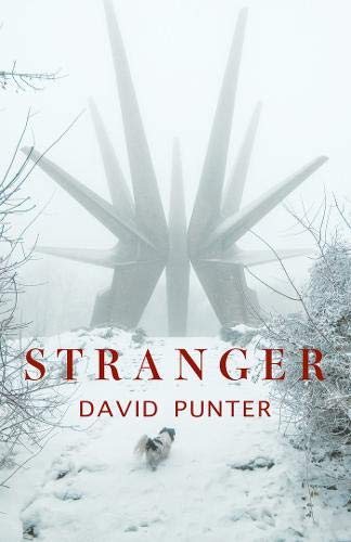 Stranger book cover