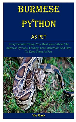 Burmese Python As Pet: Every Detailed Things You Must Know About The ...
