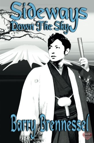 Sideways Down the Sky book cover