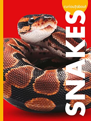 Curious About book cover 1