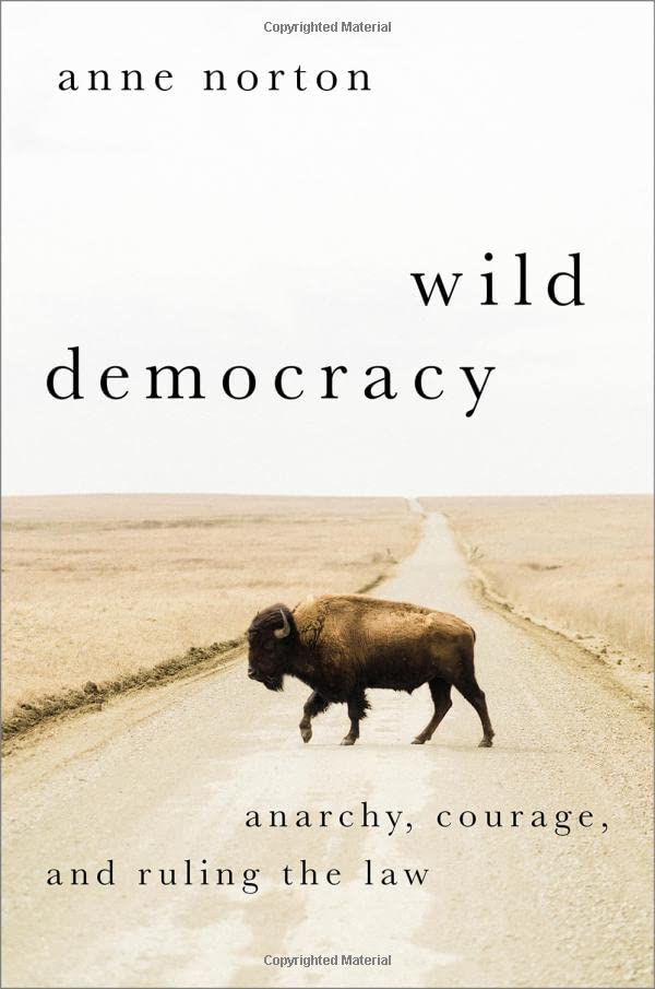 Wild Democracy: Anarchy, Courage, and Ruling the Law