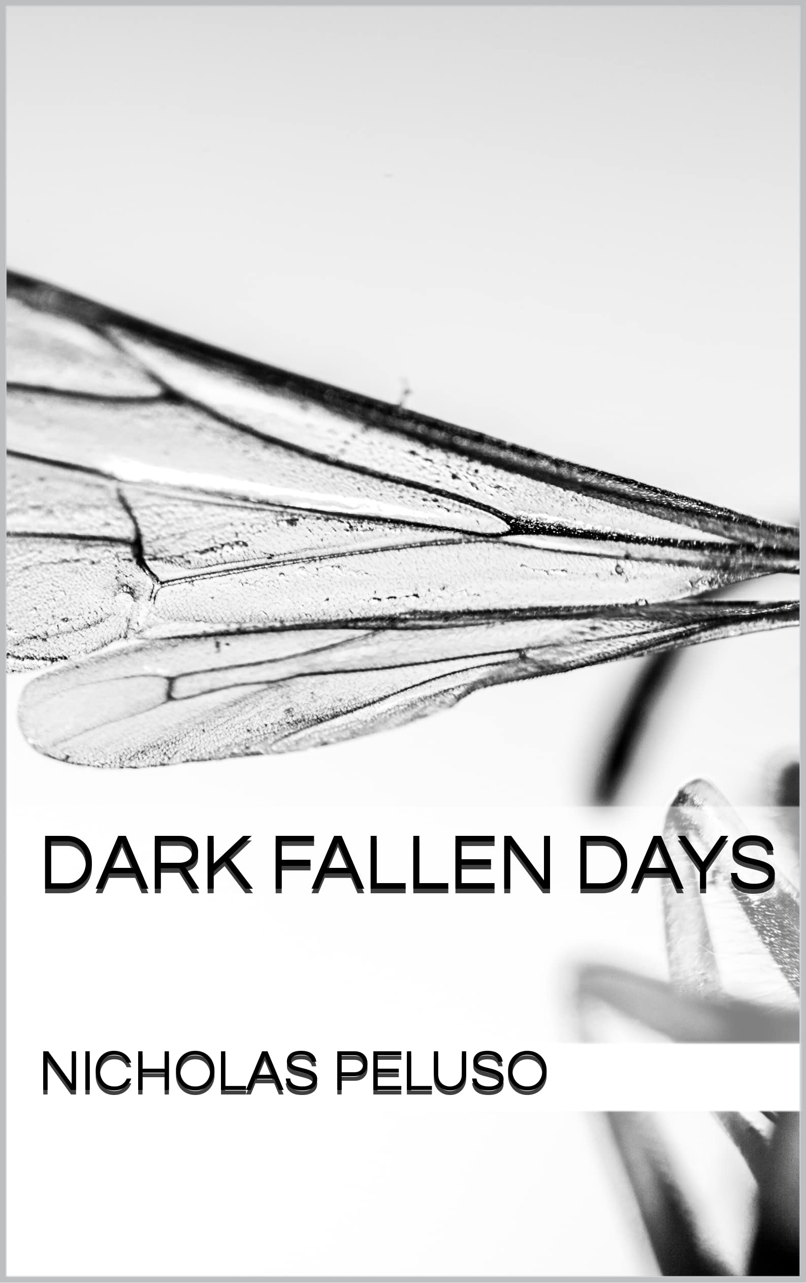 Dark Fallen Days: A thriller about the consequences and tragedy of two young men unable to find their purpose and the lengths they go to find it.