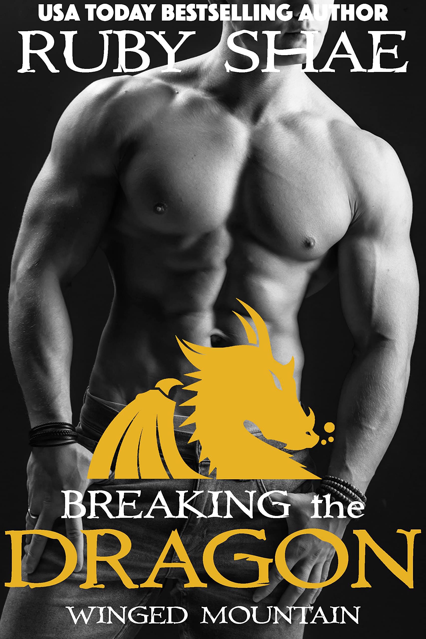 Winged Mountain book cover 2
