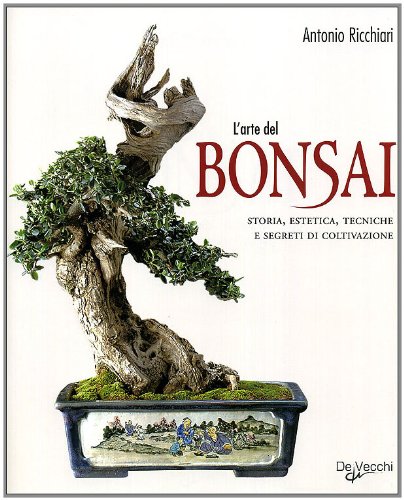 RICCHIARI BONSAI visual data 2