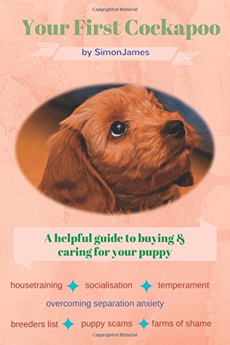 Your First Cockapoo: A Helpful Guide To Buying And Caring For A ...