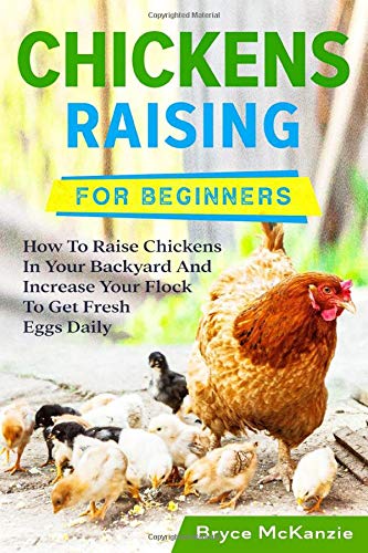Chickens Raising For Beginners: How To Raise Chickens In Your Backyard ...