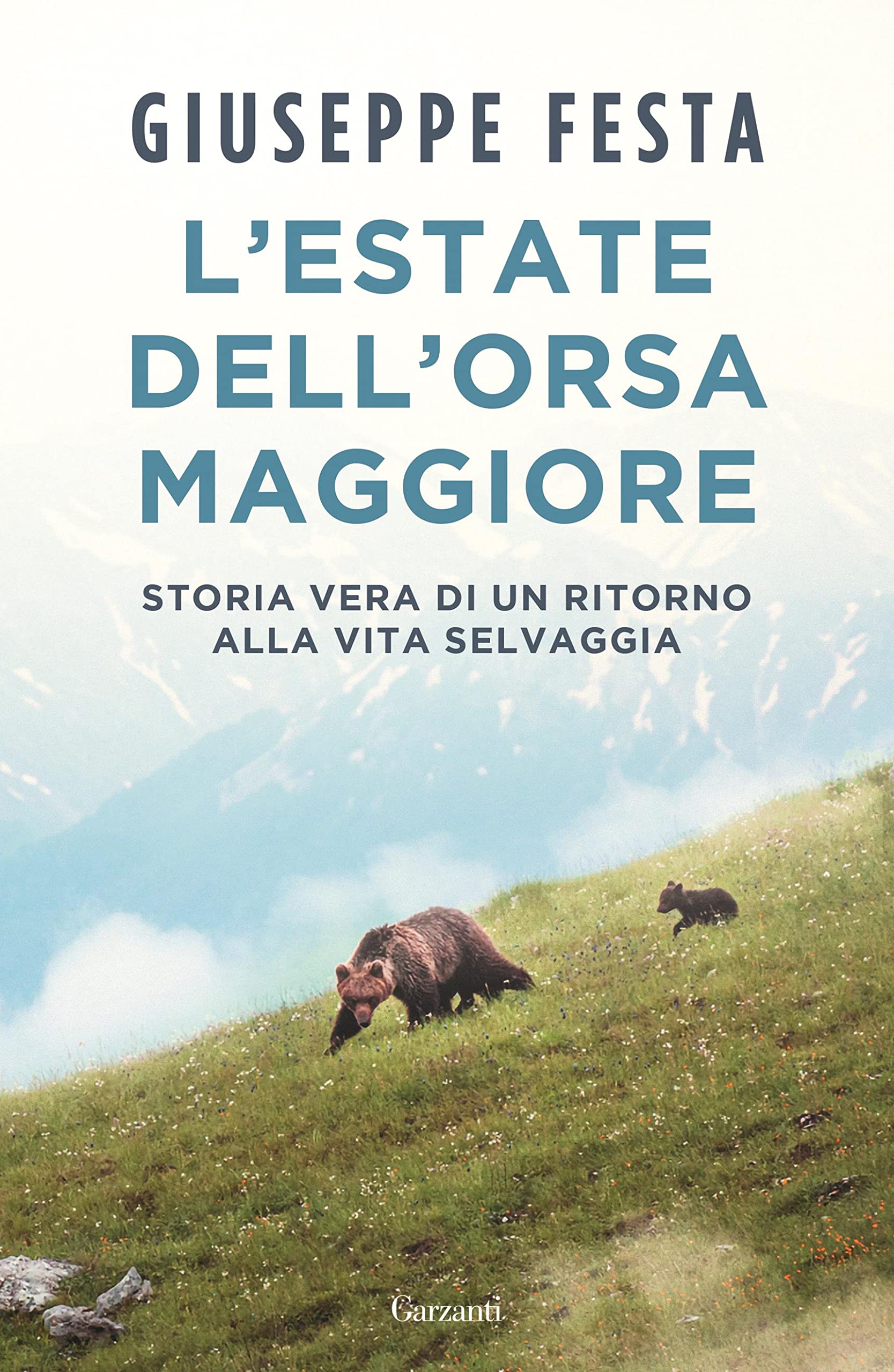 L'estate dell'Orsa Maggiore book cover