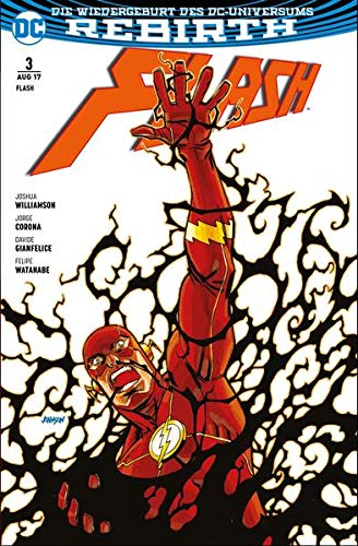 Flash book cover
