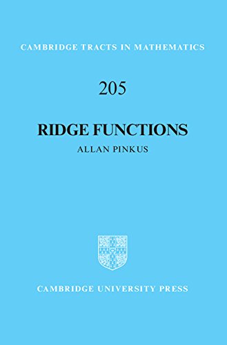 Ridge Functions book cover