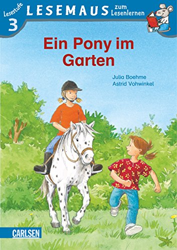 LESEMAUS zum Lesenlernen Stufe 3, 504 book cover