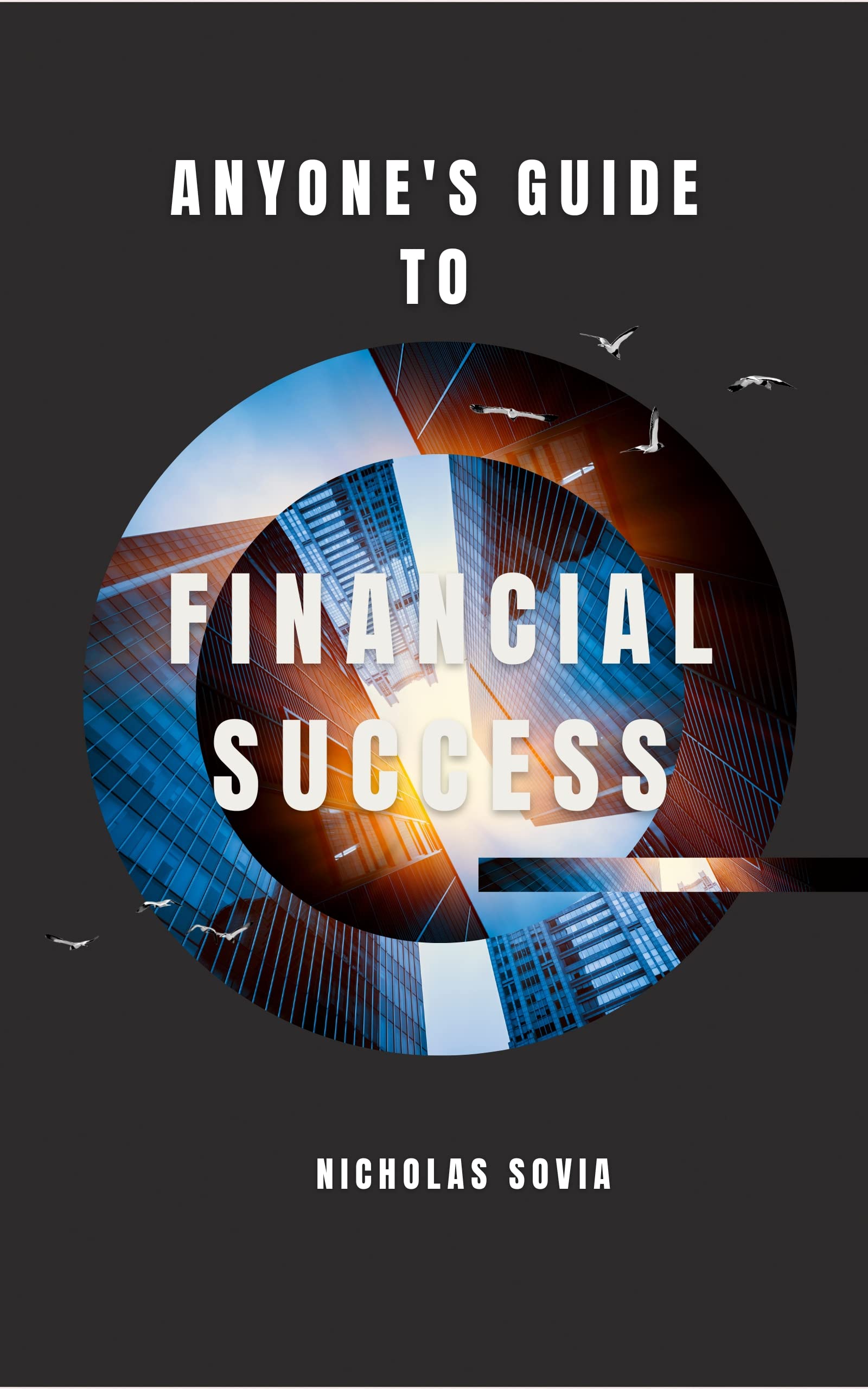 Anyone's Guide to Financial Success