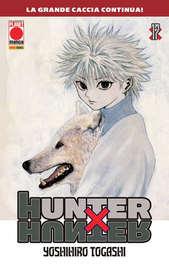 Hunter x Hunter, Vol. 17 (Hunter x Hunter, #17)