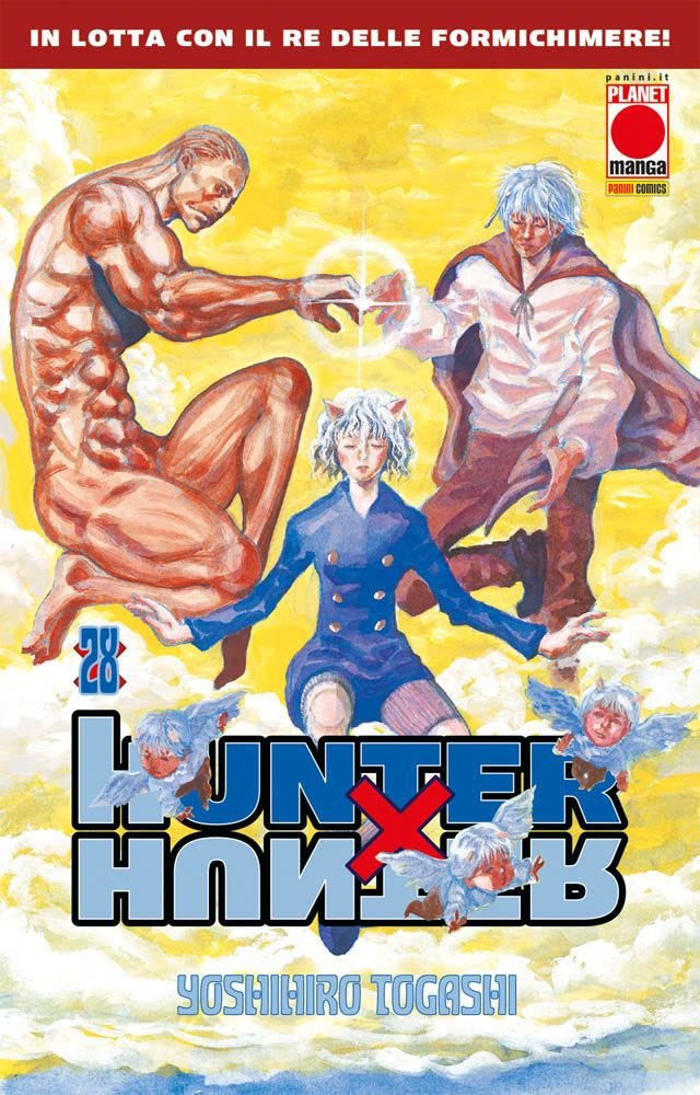 Hunter x Hunter, Vol. 28 (Hunter x Hunter, #28)