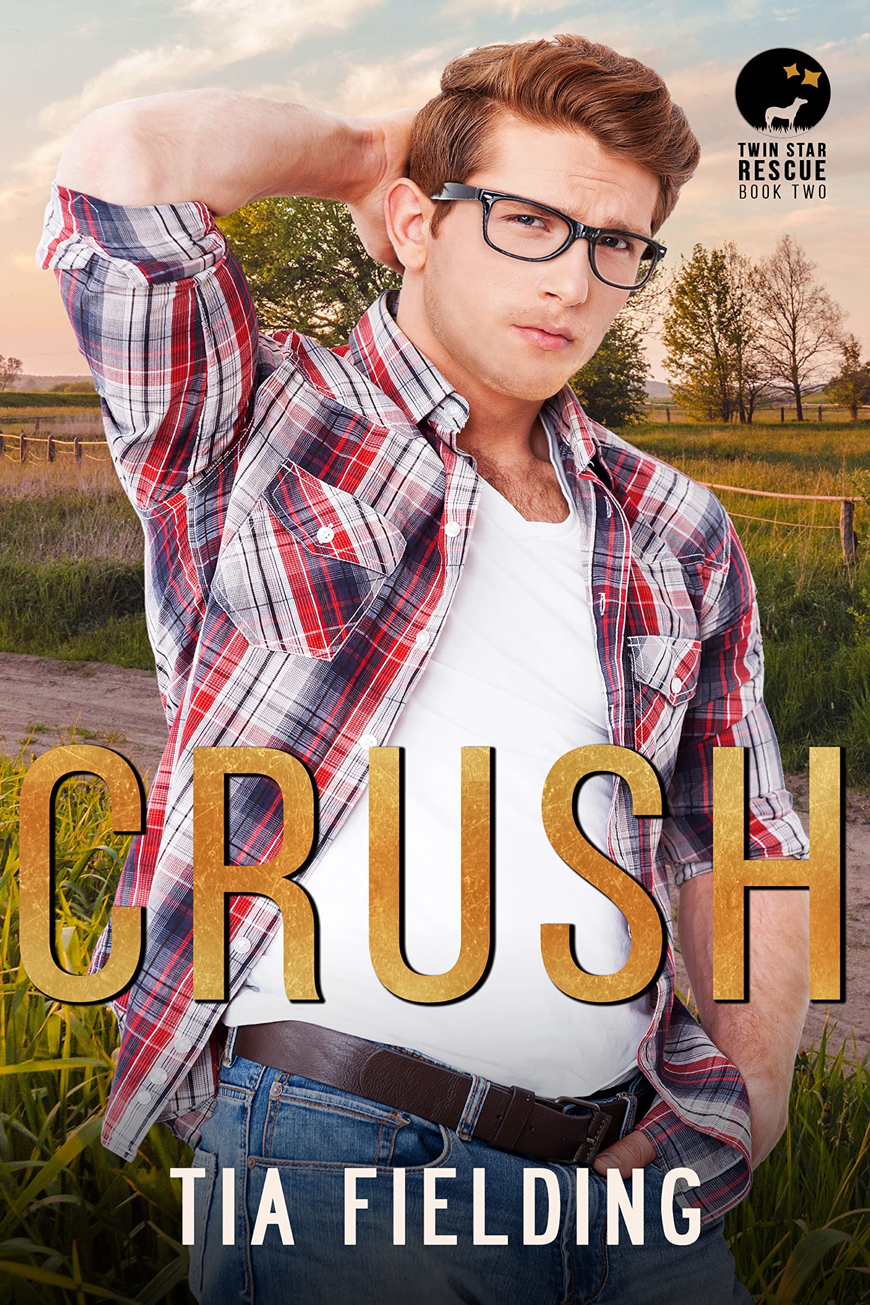 Twin Star Rescue book cover 2
