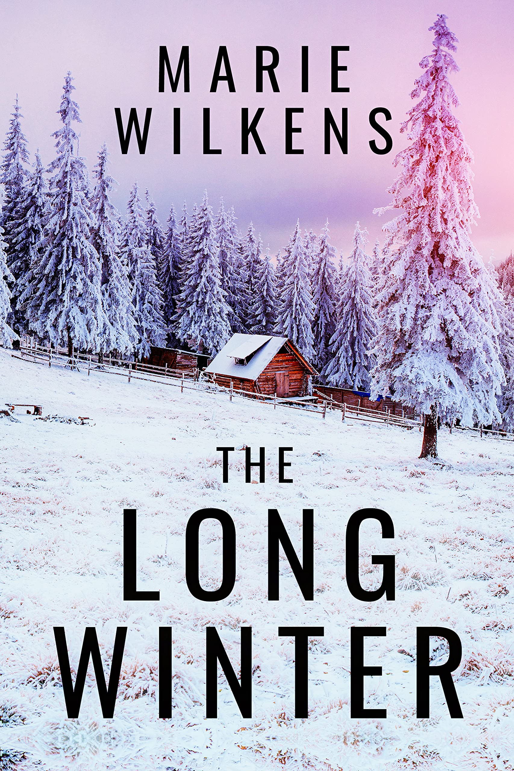 The Long Winter: Small Town EMP Survival in a Powerless World Boxset