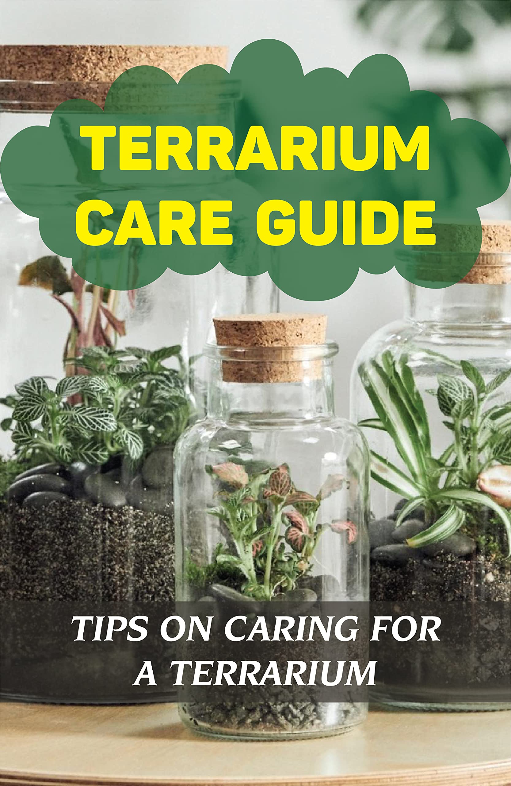 Terrarium Care Guide Tips On Caring For A Terrarium Ecosystem In A