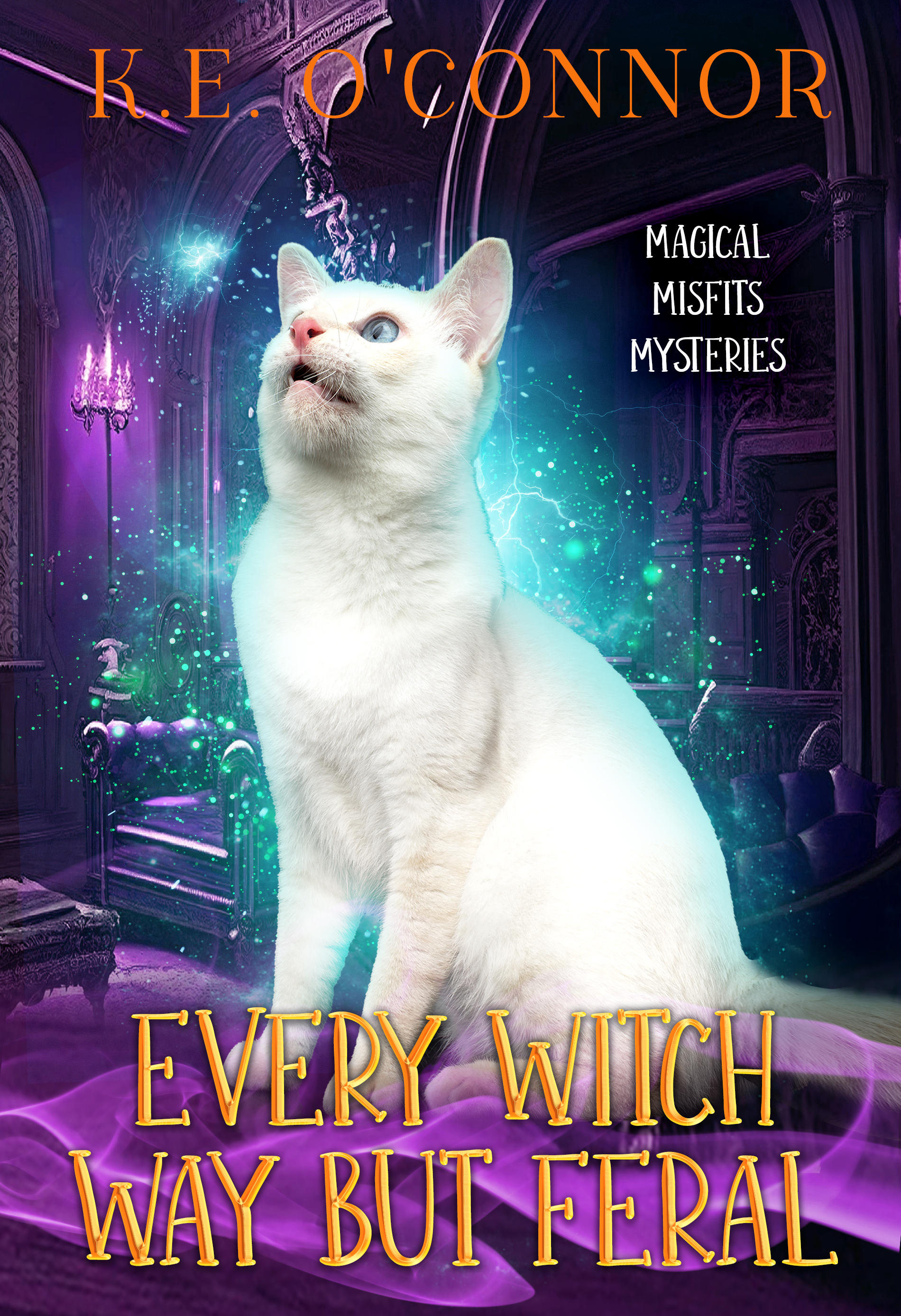Every Witch way but Feral book cover