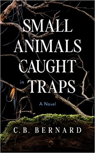 Small Animals Caught in Traps