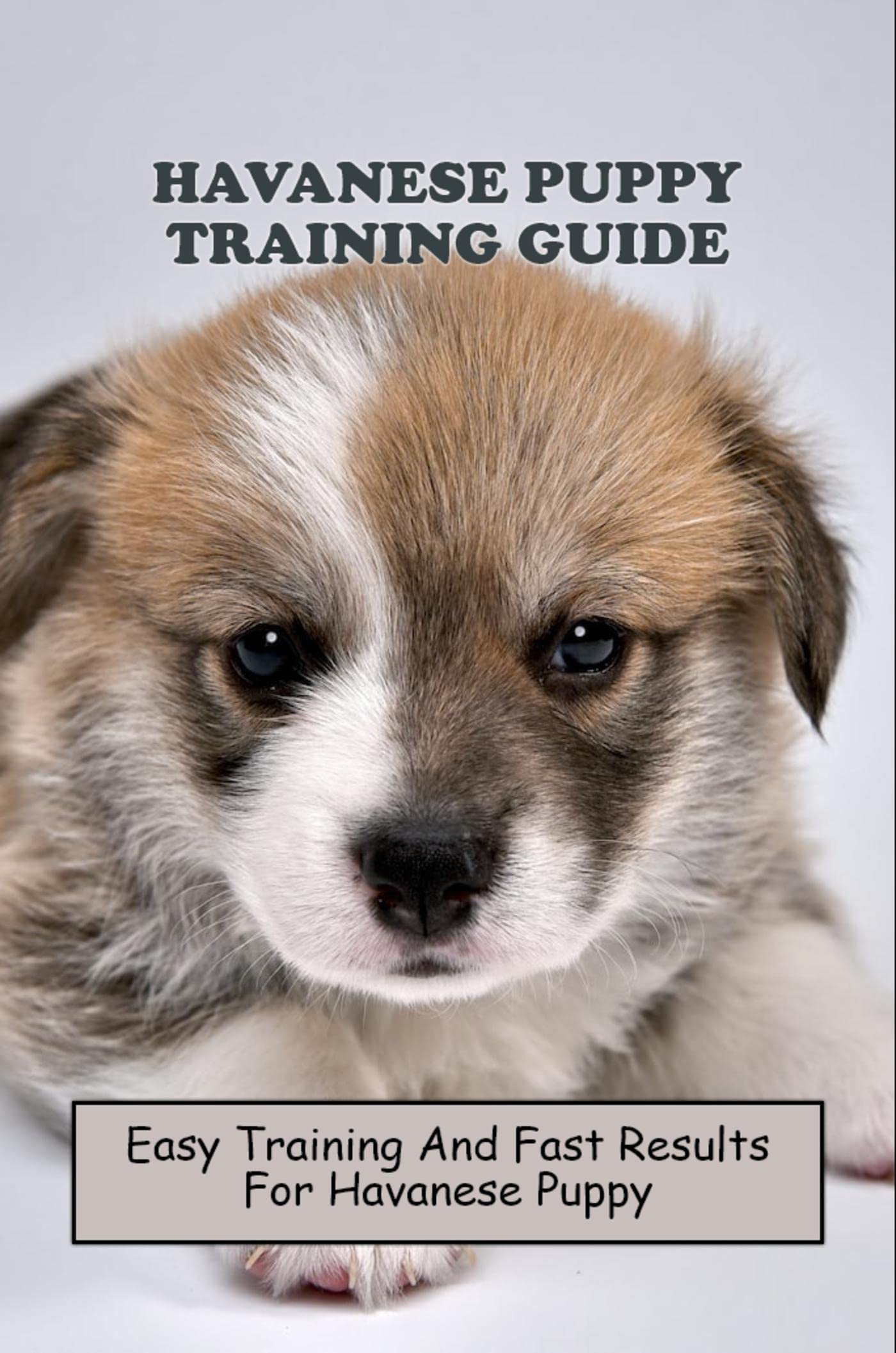 Havanese Puppy Training Guide Easy Training And Fast Results For Havanese Puppy by Preston