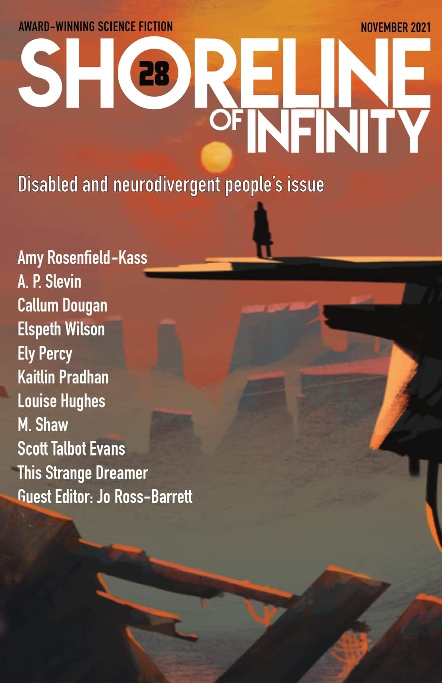 Shoreline of Infinity, Issue 28, November 2021 book cover