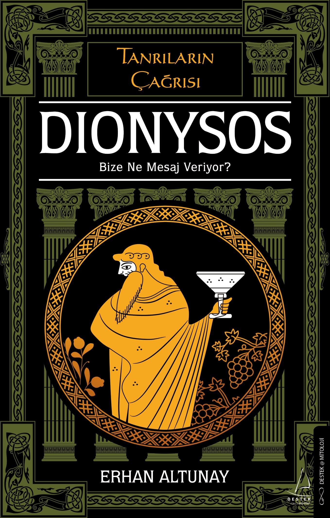 Tanrıların Çağrısı - Dionysos;Bize Ne Mesaj Veriyor? book cover