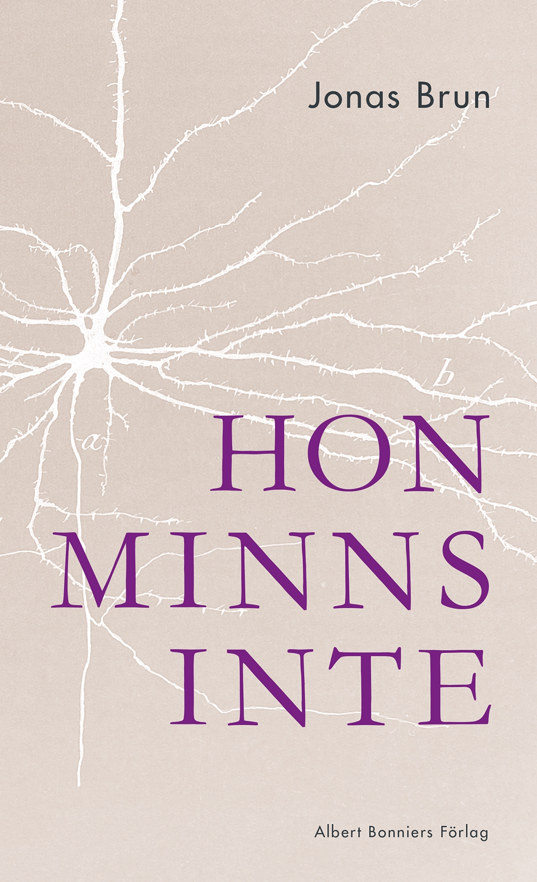 Hon minns inte book cover