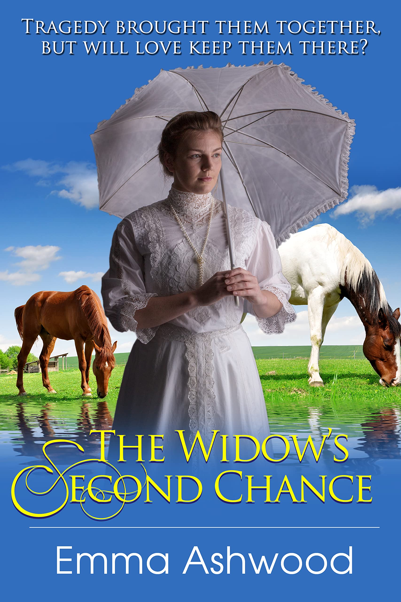 The Widow's Second Chance book cover