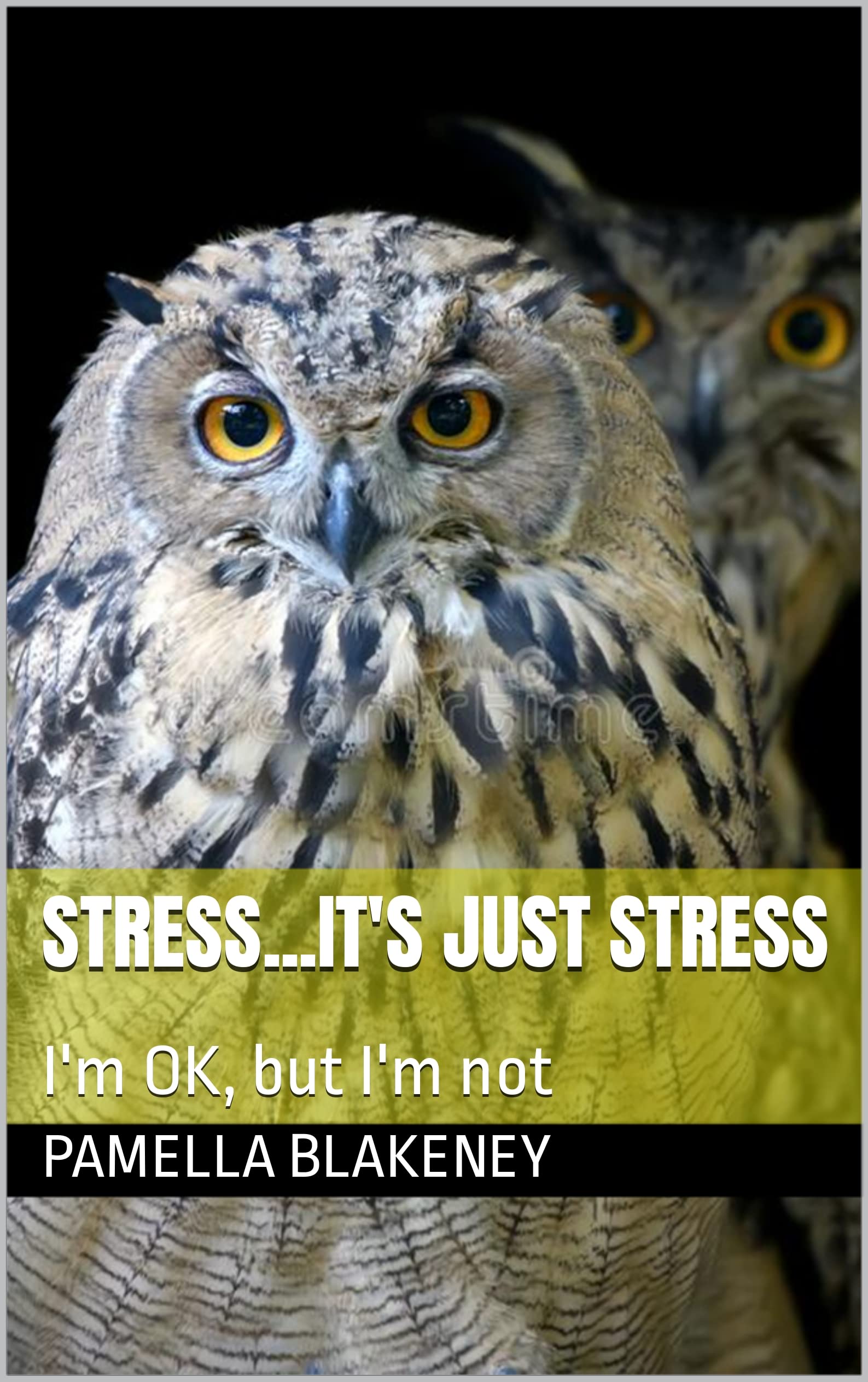 Stress...It's Just Stress: I'm OK, but I'm not by Pamella Blakeney