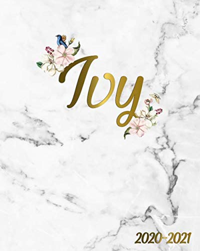 Ivy 2020-2021: Marble & Gold 2 Year Weekly & Monthly Planner | 2020 ...