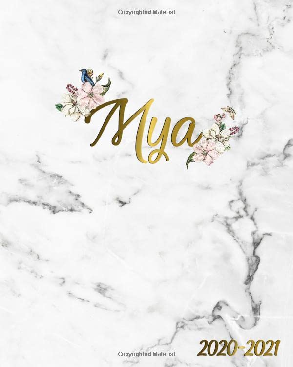 mya-2020-2021-marble-gold-2-year-weekly-monthly-planner-2020