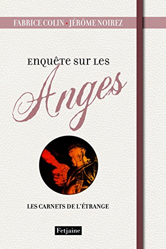 Enquête sur les anges book cover