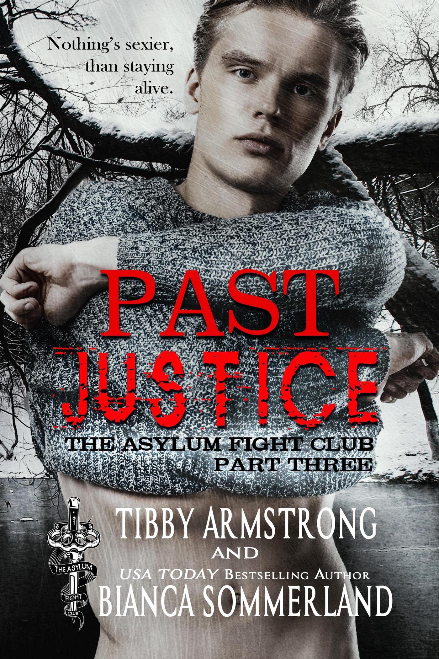 Past Justice book cover
