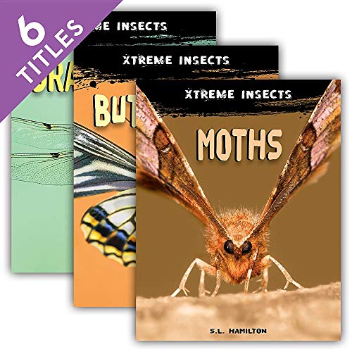 Xtreme Insects Set Butterflies / Crickets / Dragonflies /