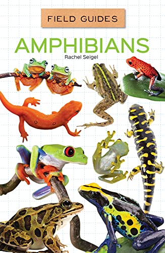 Amphibians (Field Guides Set 3) by Rachel Seigel | Goodreads