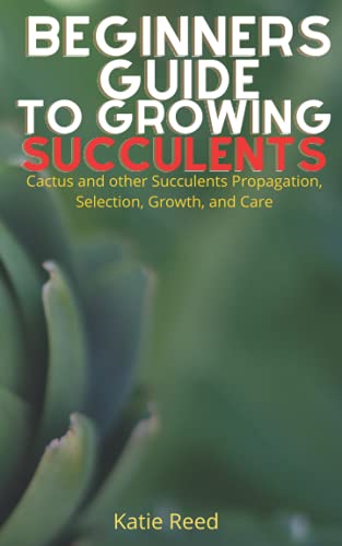 Beginners Guide To Growing Succulents: Cactus and other Succulents ...