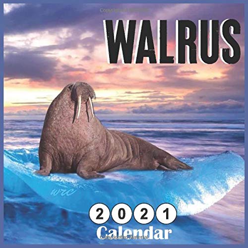 2021 Walrus calendar: 18 Months Calendar by 365 Days Calendars | Goodreads