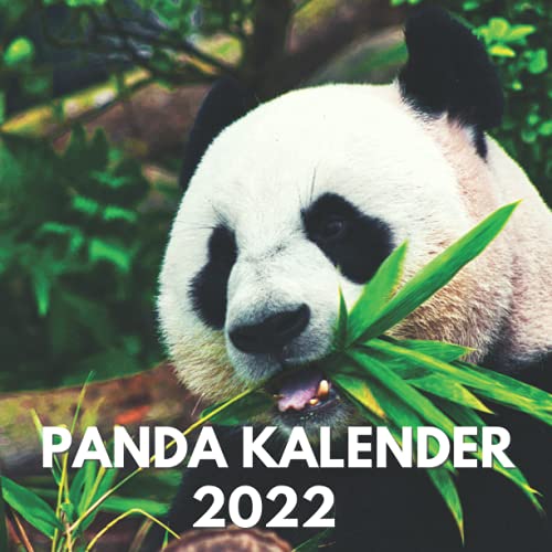 3D-notitieblok Panda 2026, Afscheurbare Panda Kalender, 2026