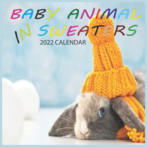 Baby Animals in Sweaters Calendar 2022: Cutest Animals Monthly Calendar