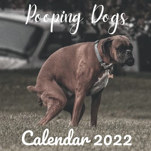 pooping-dogs-calendar-2022-pooping-dogs-2022-wall-calendar-office
